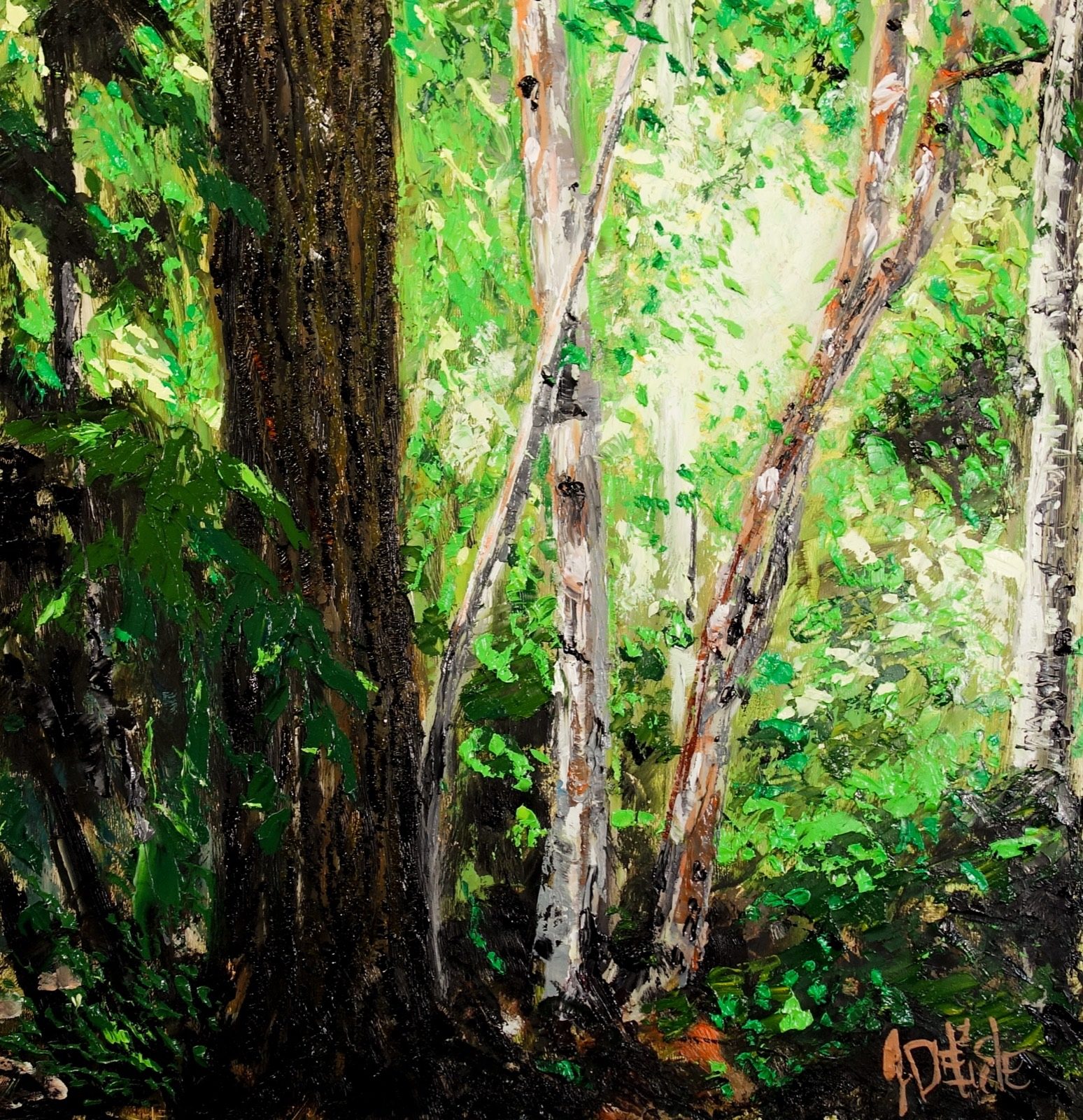 Sous-bois d'été, huile de Jean Delisle : sous-bois d'été, troncs de bouleaux et feuillage vert dense
